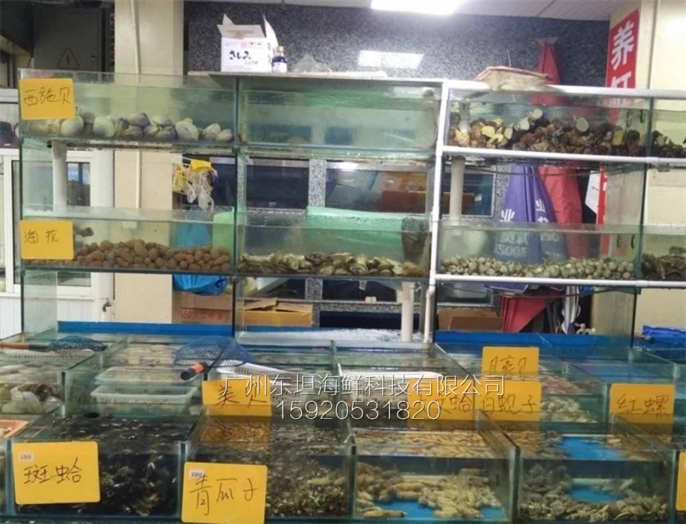 天河海鲜鱼池价格-海鲜池循环水系统-广州大排档海鲜鱼池