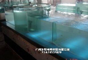 广州芩村海鲜池厂家-移动海鲜池-广州海鲜暂养池观光池