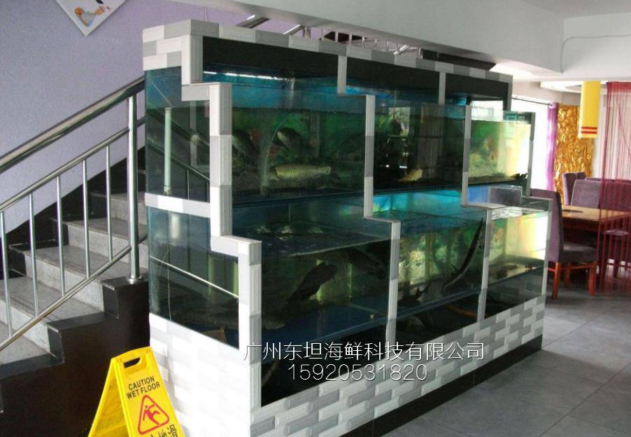 海珠素社海鲜鱼池图片-海鲜鱼池养殖-广州三层海鲜玻璃鱼池