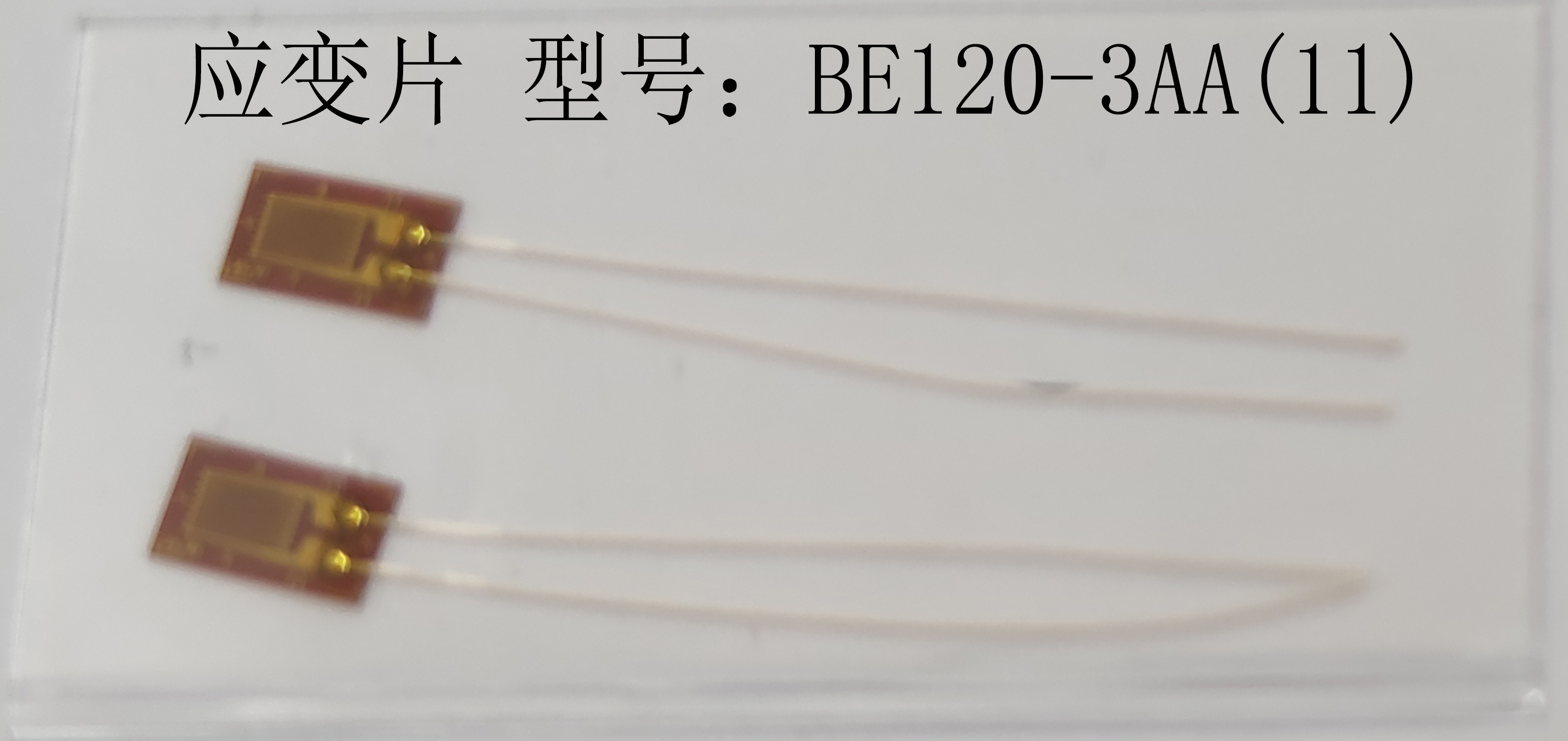 BE120-3AA(11)
