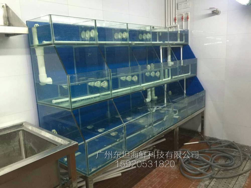 广州东涌海鲜鱼池制作图片-海鲜缸增氧系统-广州梯形海鲜池定做