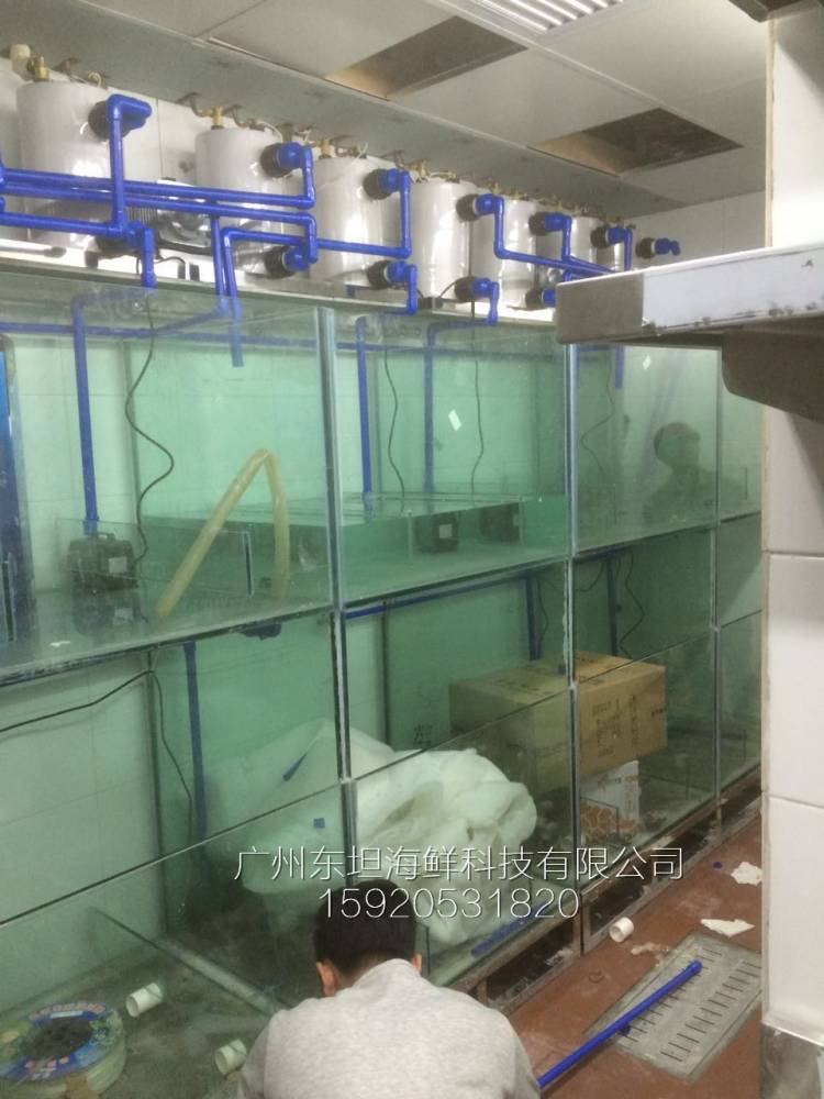 广州景泰海鲜池制作方法-海鲜池制冷系统-广州不锈钢海鲜池