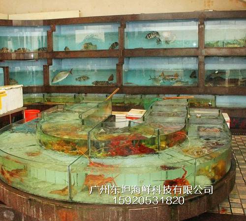 越秀海鲜池定做公司-海鲜鱼池养殖-广州可移动海鲜池安装