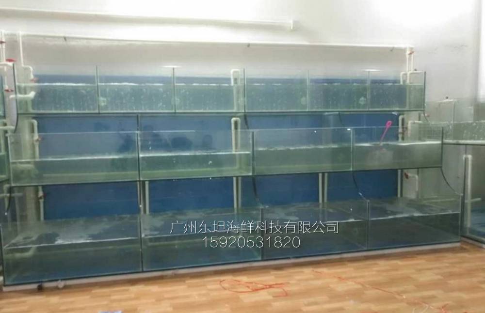 广州棠下海鲜池制冷机-移动海鲜池-广州海鲜烧烤店定做鱼池