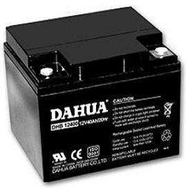 DAHUA大华蓄电池DHB121000铅酸免维护