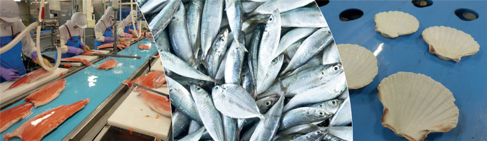 食品海鲜鱼类输送带--VOLTA、英特乐,intralox
