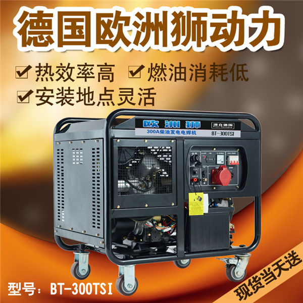 300A柴油发电电焊机户外用